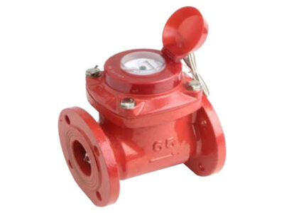 Water Meter - WP-SDC Woltmann Water Meter with Super Dry Dial - Hot Water