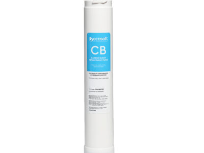 Ecosoft Carbon Post-Filter Cross90