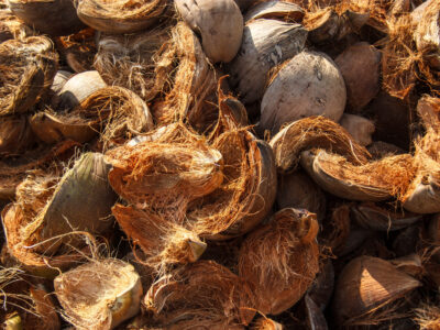 Coconut Shell Activated Carbon