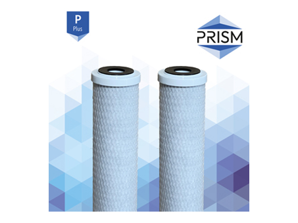 PRISM PLUS RANGE : Powder Activated Carbon Block Filter 5µm FC-DBPC-5-R*-1E-P