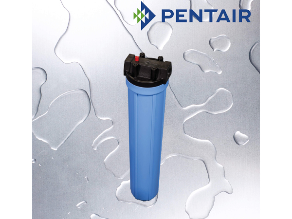Pentair 20" Blue housing 3/4" MB with pressure release